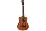 TANGLEWOOD TW2 T image