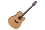 Takamine GD20CE-NS  image